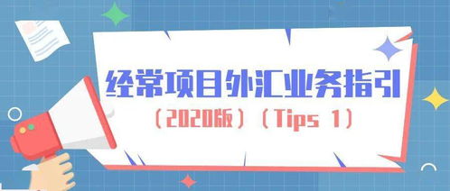 經營個人本外幣兌換特許業務指南 合規操作與市場機遇